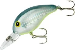 Bandit 200 Series Medium Diving Crankbait -Daiwa Store BDT2D67