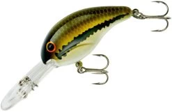 Bandit 300 Series Deep Diving Crankbait -Daiwa Store BDT301