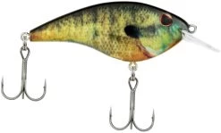 Berkley Frittside Shallow Diving Flat Sided Crankbait -Daiwa Store Berkley Frittside HDBluegill 5Biggun alt2 2000