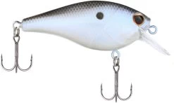 Berkley SquareBull 2 3/8 Inch Shallow Squarebill Crankbait -Daiwa Store Berkley Squarebull BlueShad 55 alt2 2000