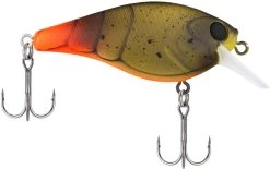 Berkley SquareBull 2 3/8 Inch Shallow Squarebill Crankbait -Daiwa Store Berkley Squarebull FiretailGreenCraw 55 alt2 2000