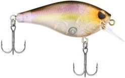 Berkley SquareBull 2 3/8 Inch Shallow Squarebill Crankbait -Daiwa Store Berkley Squarebull GhostMorningDawn 55 alt2 2000