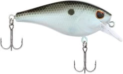 Berkley SquareBull 2 3/8 Inch Shallow Squarebill Crankbait -Daiwa Store Berkley Squarebull GreenShad 35 alt2 2000