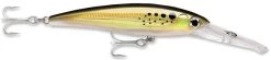 Rapala X-Rap Magnum 10 Big Game Slash Bait -Daiwa Store Bunker 1bf61b5b e2d9 414d 8963 53454fd47462