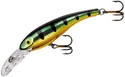 Cotton Cordell Wally Diver Crankbait -Daiwa Store CD695
