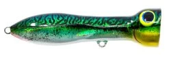 Nomad Design Chug Norris Freshwater/Inshore Popper -Daiwa Store CHUG95 SGM