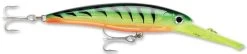 Rapala X-Rap Magnum 10 Big Game Slash Bait -Daiwa Store Firetiger 170070d0 d640 4c03 a863 241a1afc542b