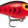 Storm Original Wiggle Wart 05 Crankbaits -Daiwa Store Fluorescent RedBlack HB c67b8611 8883 46de 8bd5 ff121bf20db5