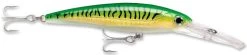 Rapala X-Rap Magnum 10 Big Game Slash Bait -Daiwa Store Gold Green Mackeral cda7cfa8 a69f 4924 bf1b 2fa9de168d74
