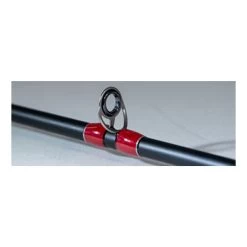 Favorite Fishing Lit Casting Combo -Daiwa Store LITCastingGuide