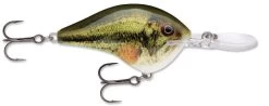 Rapala DT Series Crankbait DT14 40 Rapala DT Series Crankbait DT14 -Daiwa Store Live Largemouth Bass e41a2a50 910d 4609 ac40 3bc3d77b1c5d