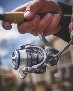 Daiwa Procyon MQ LT Spinning Reel -Daiwa Store Procyon5Spot