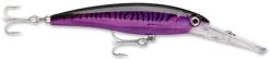 Rapala X-Rap Magnum 10 Big Game Slash Bait -Daiwa Store Purple Mackerel 13af5489 fdac 474f 8fb0 6672207856ee