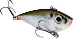 Strike King Red Eyed Shad 3/4 Oz. Lipless Crankbait -Daiwa Store REYESD34 699