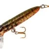 Rebel Hellgrammite 1 3/4 Inch Sinking Ultralight Crankbait -Daiwa Store S72275