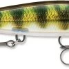Rapala Shadow Rap 11 Jerkbait -Daiwa Store SDR PEL