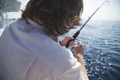 Temple Fork Outfitters Seahunter Casting Rods -Daiwa Store Seahunter Bottom Banner 2