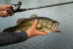 Temple Fork Outfitters Tactical Bass Baitcasting Rods -Daiwa Store Tactical Bass Bottom Banner Lifestlye 1 58dad5a5 5cde 4d45 abec 10983a08d6d8