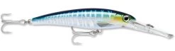 Rapala X-Rap Magnum 40 Big Game Slash Bait 41 Rapala X-Rap Magnum 40 Big Game Slash Bait -Daiwa Store Wahoo UV 2c4c9f3b 81da 4158 a671 69dfaa66e472