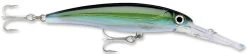 Rapala X-Rap Magnum 10 Big Game Slash Bait -Daiwa Store Yellowfin Tuna add30b88 e845 4111 b00f a8081e56ef9b