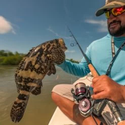 Daiwa Ballistic LT MQ Spinning Reels -Daiwa Store ballistic mq lt