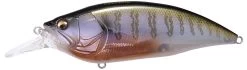Megabass Big-M 4.0 Magnum Deep Diving Crankbait -Daiwa Store big m40 secret gill 690f3e67 428c 468d 8400 a2d2a0ef7018