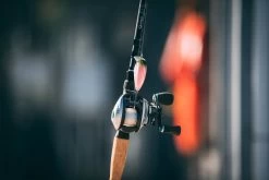 Quantum Energy S3 Baitcasting Reel 15 Quantum Energy S3 Baitcasting Reel -Daiwa Store energy bc reel and rod lifestyle