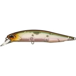 Duo Realis Jerkbait 100SP Suspending -Daiwa Store ghost minnow 27c6426f 1880 4fd8 bd48 44d6ed15bf0b
