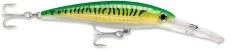 Rapala X-Rap Magnum 40 Big Game Slash Bait 29 Rapala X-Rap Magnum 40 Big Game Slash Bait -Daiwa Store gold green mackerel c36aafcc 55b7 4b87 b976 933cb1f68086