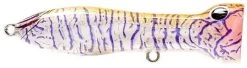 Nomad Design Chug Norris Freshwater/Inshore Popper -Daiwa Store holographic purplse shrimp