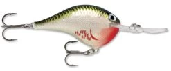 Rapala DT Series Crankbait DT14 25 Rapala DT Series Crankbait DT14 -Daiwa Store rapala dt10 bleeding olive shiner 070d001b e721 4ee2 9f5c ce93a9d12d56