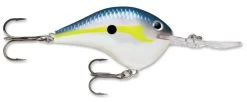 Rapala DT Series Crankbait DT14 37 Rapala DT Series Crankbait DT14 -Daiwa Store rapala dt10 helsinki shad a427dadf dc8f 4519 b6fd 0cc072acee6a