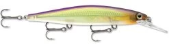 Rapala Shadow Rap Deep 11 Deep Diving Jerkbait -Daiwa Store sdrd11gon Gone a85b23ea d3d5 478d a372 3b66ec992bc8