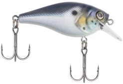 Berkley SquareBull 2 3/8 Inch Shallow Squarebill Crankbait -Daiwa Store squarebull blue black 785f5c02 8d74 4391 8cff efb332981a52