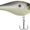 Berkley SquareBull 2 3/8 Inch Shallow Squarebill Crankbait -Daiwa Store squarebull chameleon pearl edde6e06 c7d7 4ce1 91dd 058d9e3eaac2