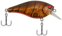 Berkley SquareBull 2 3/8 Inch Shallow Squarebill Crankbait -Daiwa Store squarebull ghost brown craw 750bf837 a121 402e b9ce 85fac40f3e71
