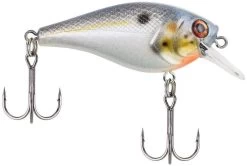 Berkley SquareBull 2 3/8 Inch Shallow Squarebill Crankbait -Daiwa Store squarebull sexier shad 1d609b07 b72e 43cb ae5f 8f3b1f1c079e