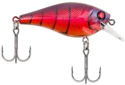Berkley SquareBull 2 3/8 Inch Shallow Squarebill Crankbait -Daiwa Store squarebull special red craw a3eeef37 c990 4d30 a2a4 9203d3981ecd