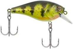 Berkley SquareBull 2 3/8 Inch Shallow Squarebill Crankbait -Daiwa Store squarebull yellow perch 08cc63df 2824 4d70 8487 3e7beebcaa15