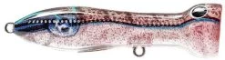 Nomad Design Chug Norris Freshwater/Inshore Popper -Daiwa Store squid surprise