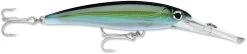 Rapala X-Rap Magnum 10 Big Game Slash Bait -Daiwa Store xrmag yft