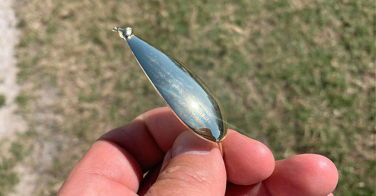 Daiwa Store -Daiwa Store z6471265132817 1ca01b374f907ec14509b58a3afc6bc5